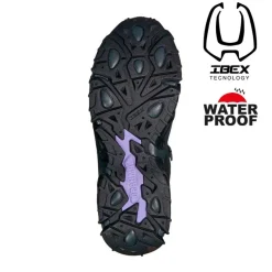 IY2869-NLI Ibex Women's Boots