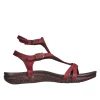 RG2564 Vino - Footwear